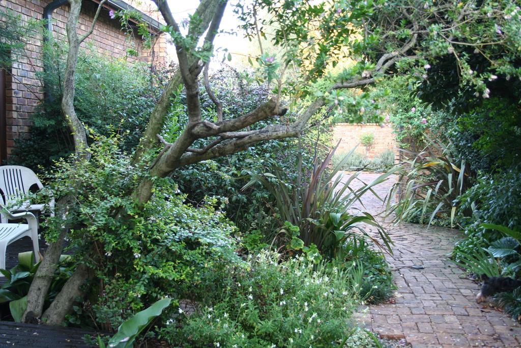 Aero Lodge Guest House Middelburg  Extérieur photo
